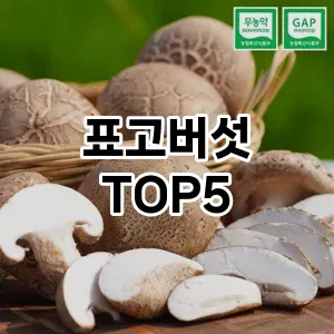 표고버섯 필수템! 이번 시즌을 위한 베스트 Top 5 표고버섯 추천!