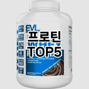 프로틴 필수템! 이번 시즌을 위한 베스트 Top 5 프로틴 추천!