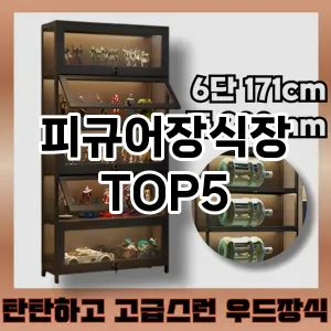 피규어장식장 필수템! 이번 시즌을 위한 베스트 Top 5 피규어장식장 추천!
