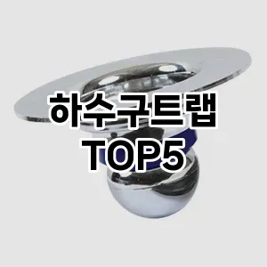 하수구트랩 필수템! 이번 시즌을 위한 베스트 Top 5 하수구트랩 추천!