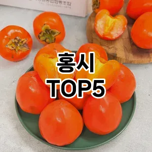 홍시 필수템! 이번 시즌을 위한 베스트 Top 5 홍시 추천!