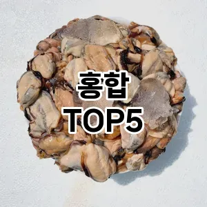 홍합 필수템! 이번 시즌을 위한 베스트 Top 5 홍합 추천!