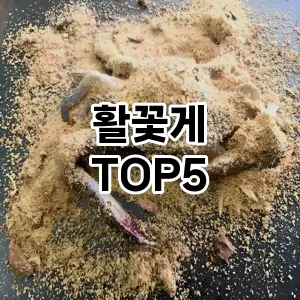 활꽃게 필수템! 이번 시즌을 위한 베스트 Top 5 활꽃게 추천!