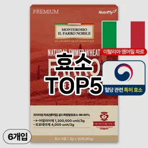 효소 필수템! 이번 시즌을 위한 베스트 Top 5 효소 추천!