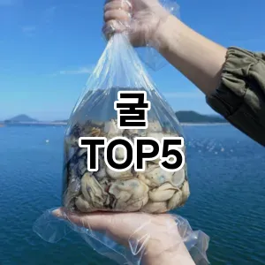 뜨거운 인기! 지금 꼭 필요한 굴 TOP 5 추천