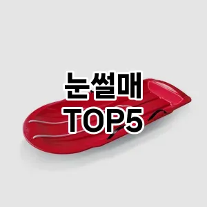 뜨거운 인기! 지금 꼭 필요한 눈썰매 TOP 5 추천