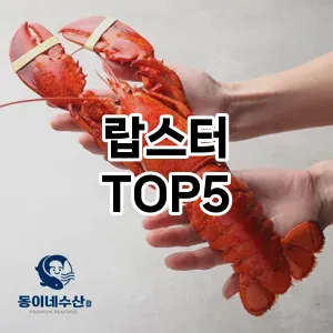 뜨거운 인기! 지금 꼭 필요한 랍스터 TOP 5 추천