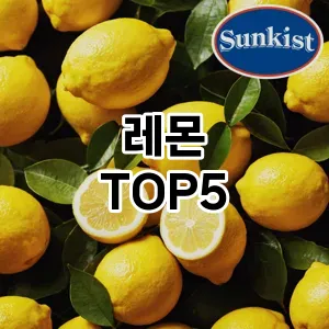트렌디한 아이템! 레몬 BEST 5 추천