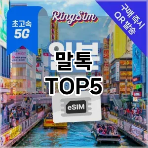 뜨거운 인기! 지금 꼭 필요한 말톡 TOP 5 추천