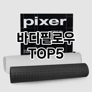 트렌디한 아이템! 바디필로우 BEST 5 추천