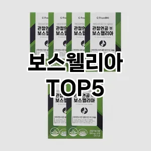 트렌디한 아이템! 보스웰리아 BEST 5 추천
