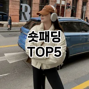올겨울 트렌드! 실용적인 숏패딩 추천 TOP 5