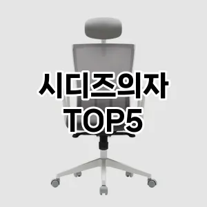 실용성과 스타일을 모두! 시디즈의자 베스트 추천
