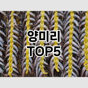실용성과 스타일을 모두! 양미리 베스트 추천