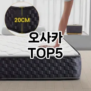뜨거운 인기! 지금 꼭 필요한 오사카 TOP 5 추천