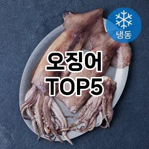 실용성과 스타일을 모두! 오징어 베스트 추천