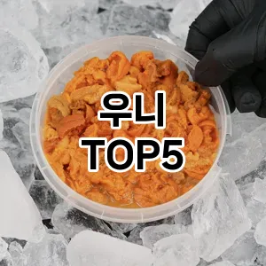 뜨거운 인기! 지금 꼭 필요한 우니 TOP 5 추천