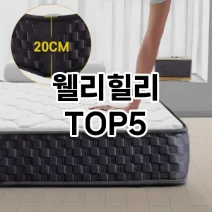 뜨거운 인기! 지금 꼭 필요한 웰리힐리 TOP 5 추천