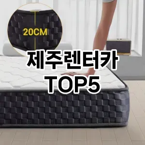 실용성과 스타일을 모두! 제주렌터카 베스트 추천