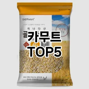 트렌디한 아이템! 카무트 BEST 5 추천