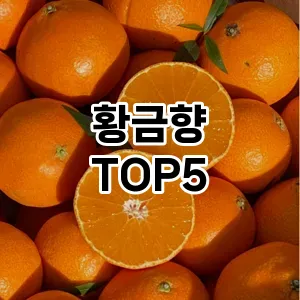 트렌디한 아이템! 황금향 BEST 5 추천