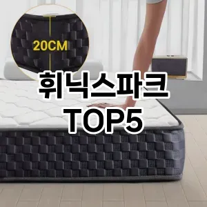 실용성과 스타일을 모두! 휘닉스파크 베스트 추천